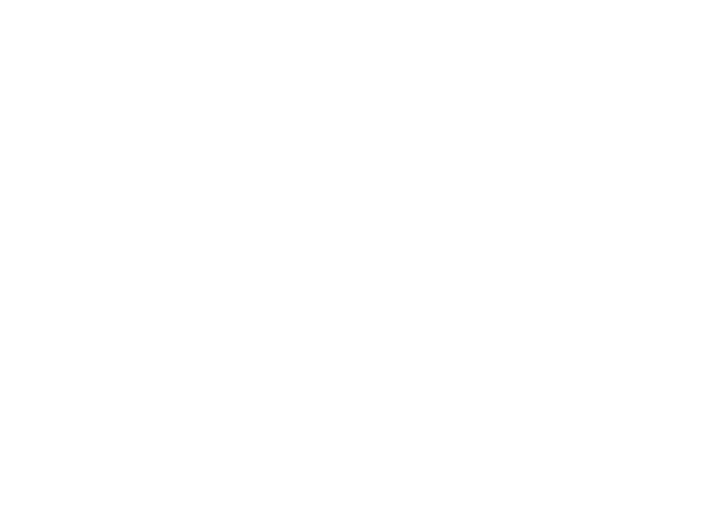 Google Partner